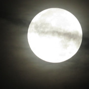 moon-028