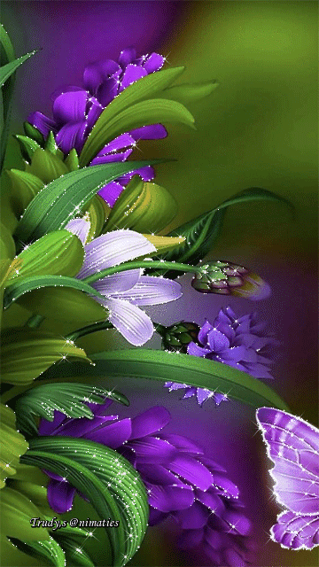 13.gif