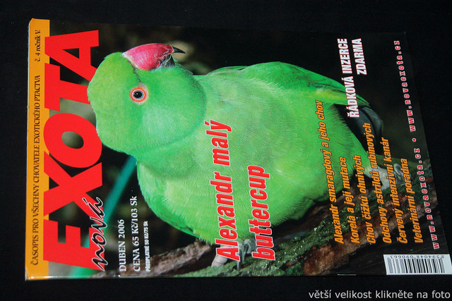 IMG-7815.jpg