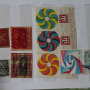 IMG-6814