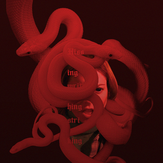 willow.png