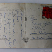 IMG-6464