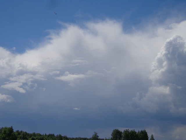 DSC00575.jpg