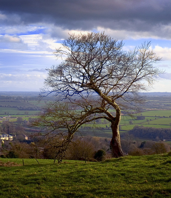 DSCF1390-900.jpg