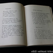 IMG-4173