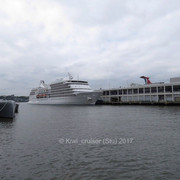 IMG-6707
