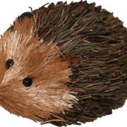 Hedgehog