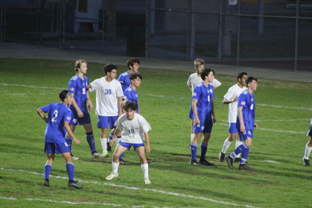 IMG-0019
