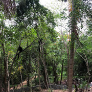 IMG-3684