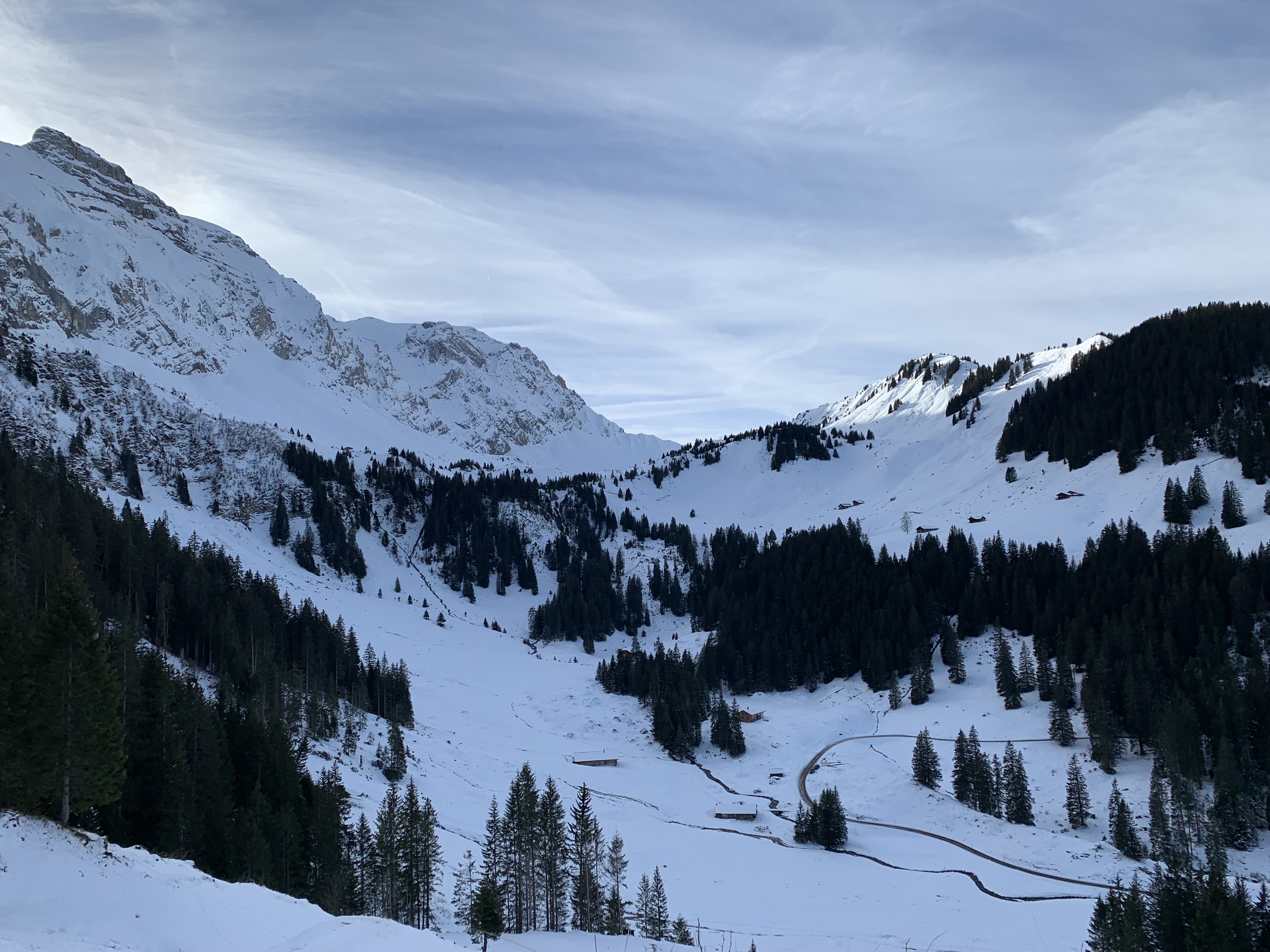 IMG-0617.jpg