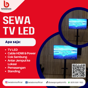 tv7