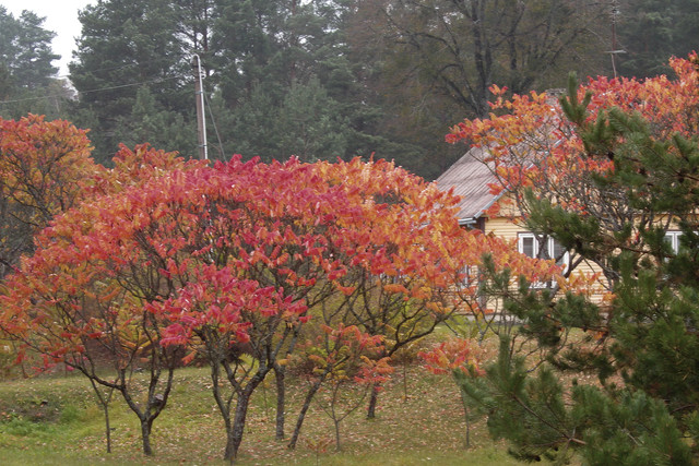 PA100624
