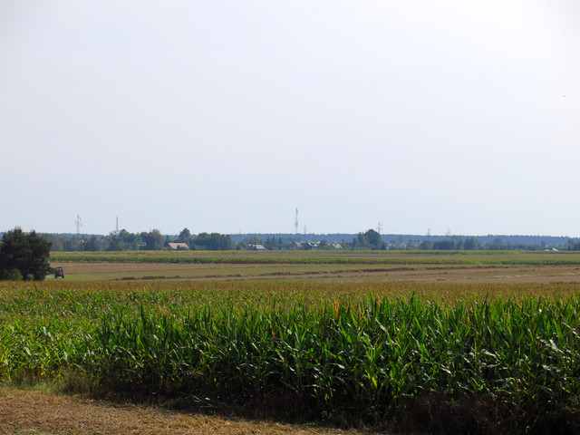 IMG-4651