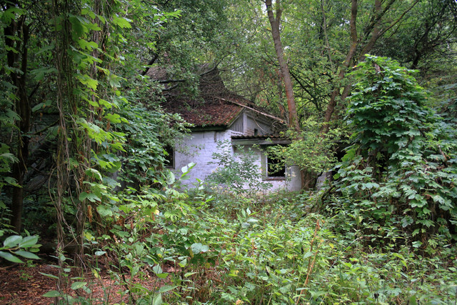 IMG-5899.jpg