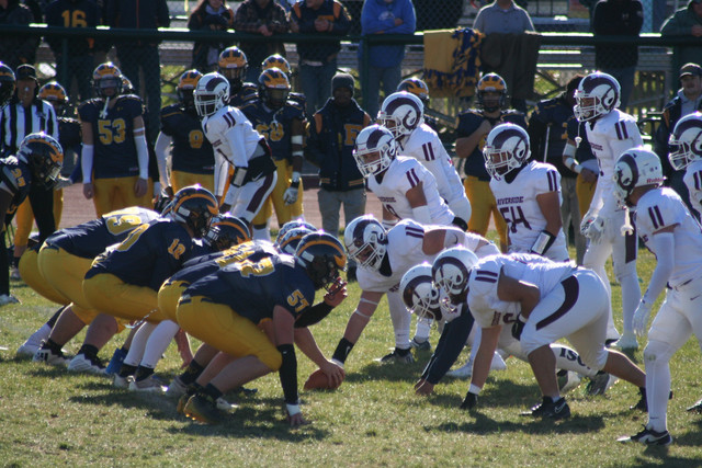 IMG-2610.jpg