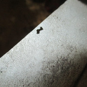 IMG-9012
