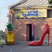 IMG-3113