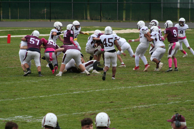 IMG-0702.jpg