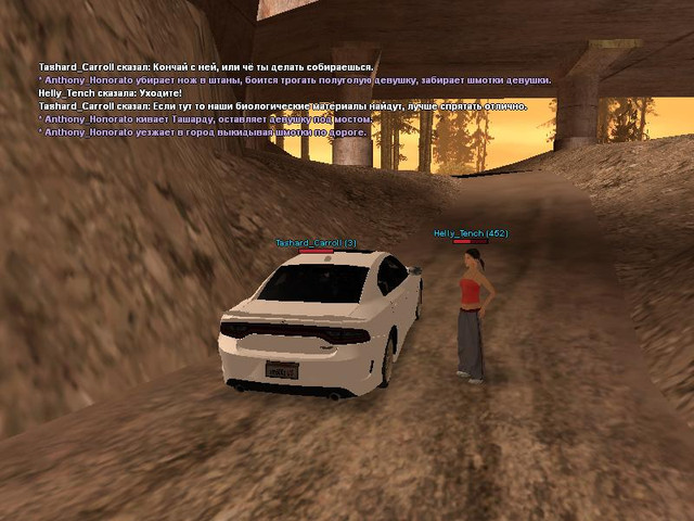 gallery83.jpg