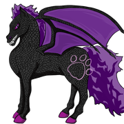 Shadow-Rapidash-Marked