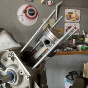 IMG-6654