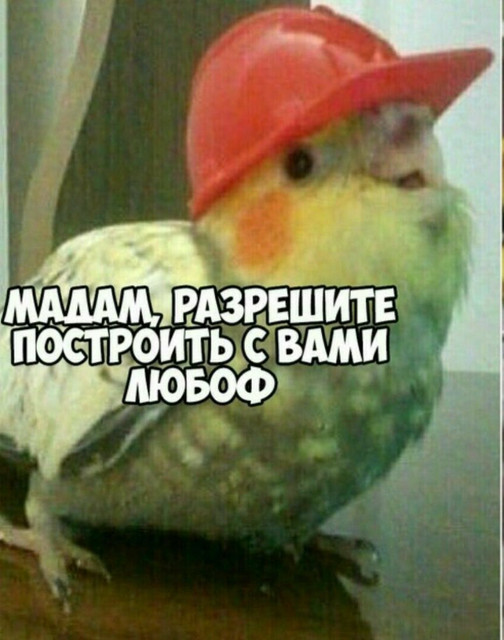 260c8572801cf64d03e45c0ef69c0a41