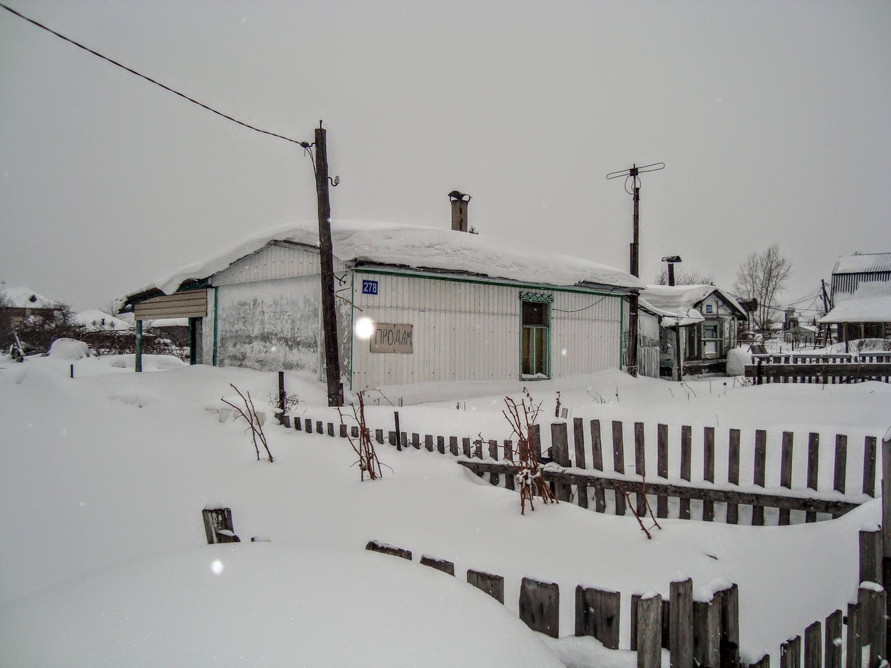 DSC06230
