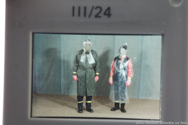 IMG-1236.jpg