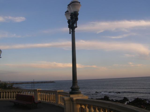 OLYMPUS-DIGITAL-CAMERA