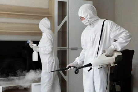 Mold Removal in Toronto Mold-Removal-in-Toronto