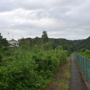 P1330681