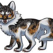 Wolvden-Adopt-Soot-small
