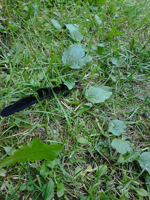 IMG-20240707-190000