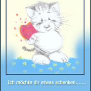cards-m6