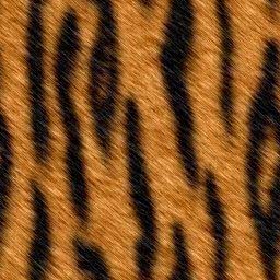 tiger.jpg