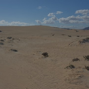 DSCF8561