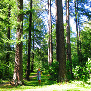IMG-1640