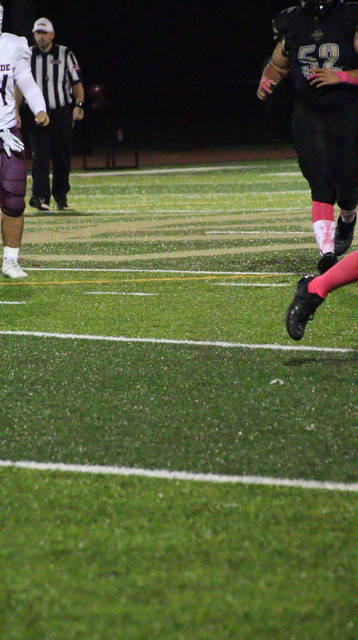 IMG-9239.jpg