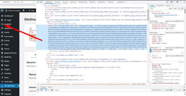 analytify-base64-svg