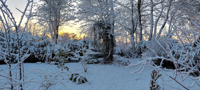 tuin2.jpg