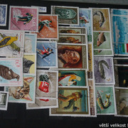 IMG-3247
