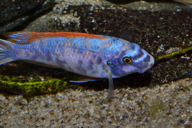 DSC 5629