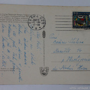 IMG-6358