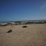 DSC01168