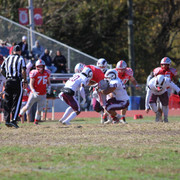 IMG-1517