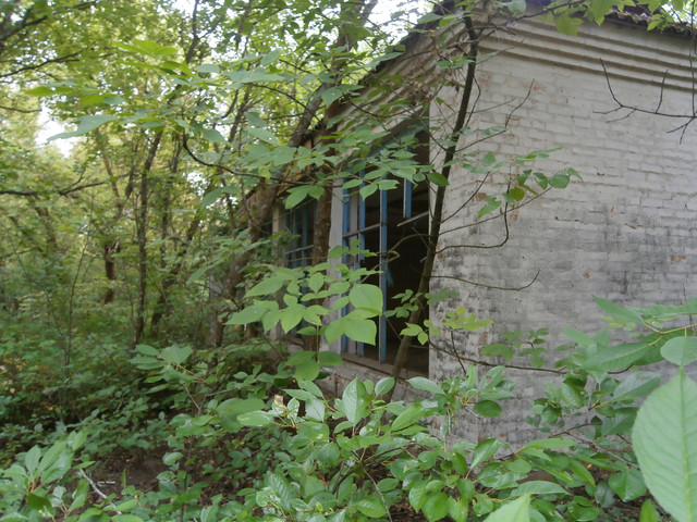 OLYMPUS-DIGITAL-CAMERA.jpg