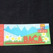 IMG-7041