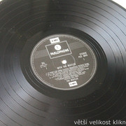 IMG-9876