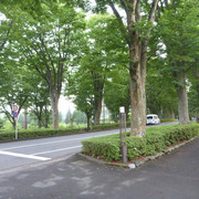 P1330511