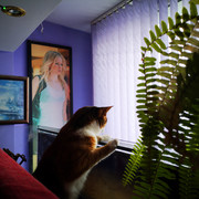 IMG-20220112-104707